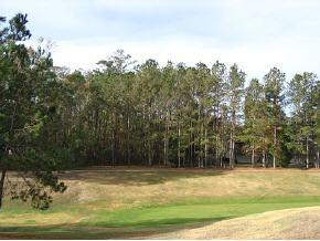 2815 NW 104 Ct., Gainesville, FL 32606