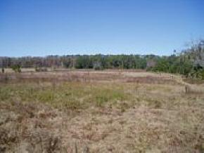 9926 SW 8th Ave., Gainesville, FL 32607