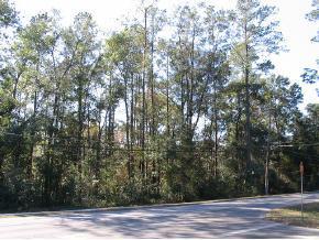 NW 31 Ave., Gainesville, FL 32606