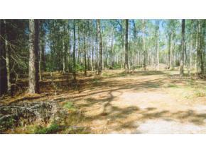 [Address Hidden by Seller], Gainesville, FL 32606