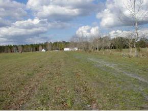 23004 SE Cr 1474, Hawthorne, FL 32640