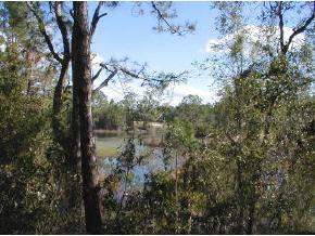 213 Lake Ray Rd., Hawthorne, FL 32640