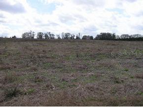 NW 174th Lane, Alachua, FL 32615