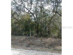 Tomahawk Indian Lakes Rd., Hawthorne, FL 32640