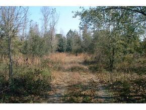 [Address Hidden by Seller], Lake Butler, FL 32054