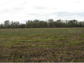 20004 NW 113th Way, Alachua, FL 32615