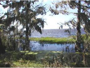 13326 SE 200th Ter., Hawthorne, FL 32640