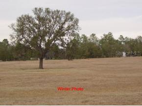 11600 NE 105 St., Archer, FL 32618