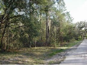 SW 21st Place Dr., Gainesville, FL 32608