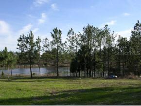 Olds Drive, Hawthorne, FL 32640