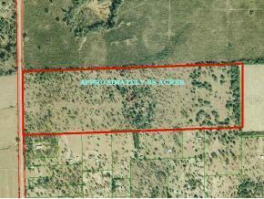 Sr 337, Newberry, FL 32669