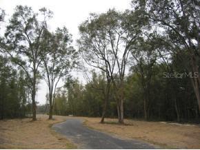 Lot 1 NW Bristol Oaks, Newberry, FL 32669