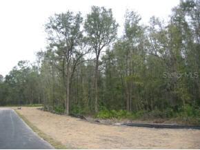 Lot 3 NW Bristol Oaks, Newberry, FL 32669