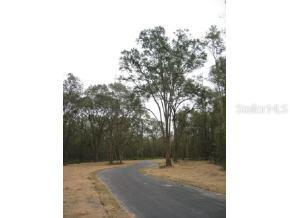 Lot 5 NW Bristol Oaks, Newberry, FL 32669