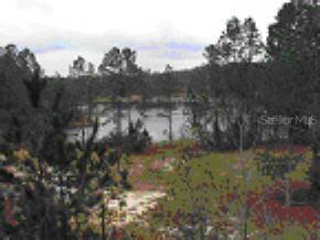 167 E Lake Ray Rd., Hawthorne, FL 32640