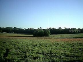 NW 202 St. St., Newberry, FL 32669