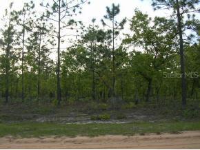 211 Melrose Landing Dr., Melrose, FL 32666