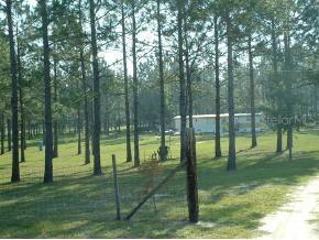 11927 Cr337 / 282st St., Newberry, FL 32669