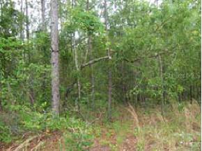 [Address Unavailable], Bell, FL 32619