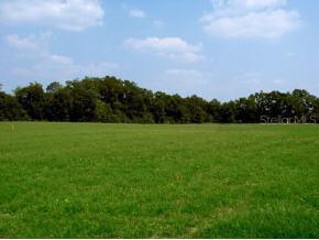 2277 SW 170th Lot 6 St., Newberry, FL 32618