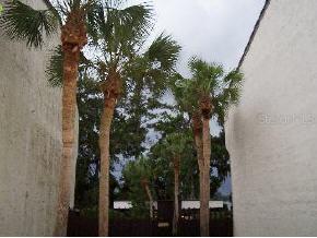 2728 SW 14th Dr., Gainesville, FL 32608