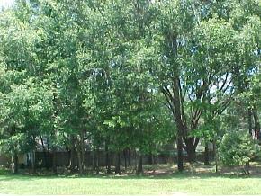 12220 NW 7th Lane, Gainesville, FL 32669