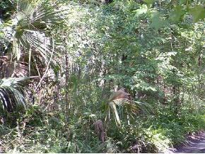 1828 SW 63rd Ave., Gainesville, FL 32608