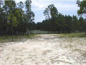 125 Lake Ray Rd., Hawthorne, FL 32640