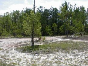 110 Olds Dr., Hawthorne, FL 32640