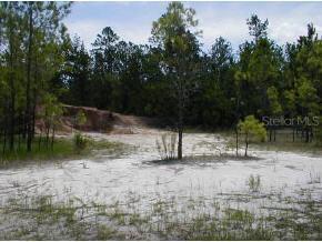 114 Olds Dr., Hawthorne, FL 32640