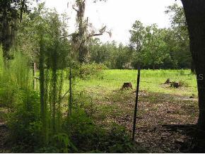 TBD SW 93 Ln., Lake Butler, FL 32054