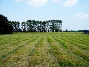 SW 282nd St., Newberry, FL 32669