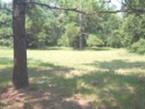 2146 SW Cr 349 Rd., Lake City, FL 32024