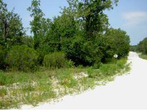 [Address Hidden by Seller], Archer, FL 32618