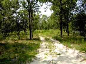 10990 NE 128th Ln., Archer, FL 32618