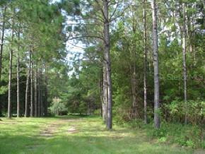 13909 SW 91st St., Archer, FL 32618