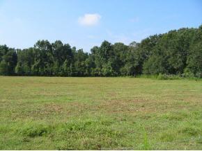 NW 122nd Pl., Gainesville, FL 32609