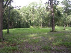?? NE Dogwood Lane, Melrose, FL 32666