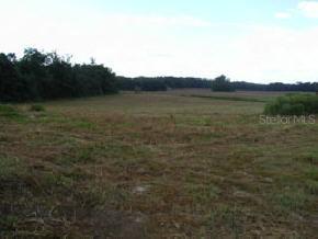 20512 SW 15th Ave., Newberry, FL 32669