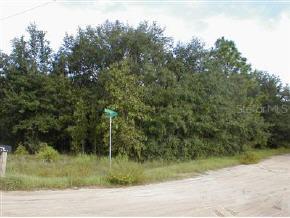 Cor. Lake Susan Bayberry, Hawthorne, FL 32640