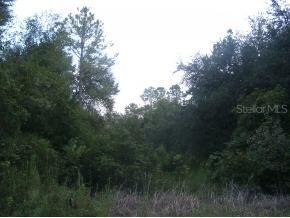 9801 SE Cr 2082, Gainesville, FL 32601