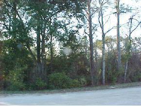 NE 126th Ave., Williston, FL 32696