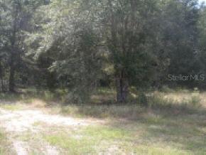 NE 55th St., Williston, FL 32696