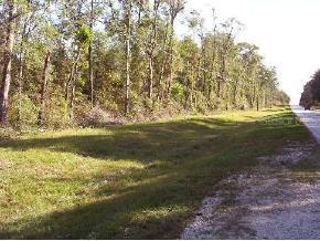 12100 NW 39th Ave., Gainesville, FL 32606