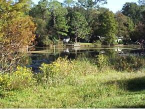 1905 NW 12th Terrace, Gainesville, FL 32609