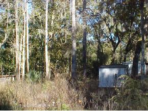 3420 SE 185th Ave., Micanopy, FL 32667