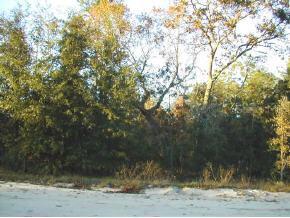 111 Country Living Ln., Melrose, FL 32666