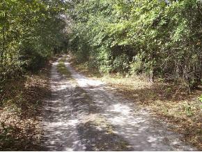 3324 SW 122nd St., Gainesville, FL 32607