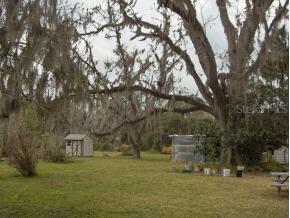 4221 NE Cr 219a, Melrose, FL 32666