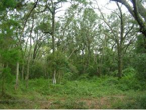 NE 107th Ave., Archer, FL 32630